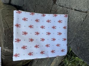 Hovedbilde Sm&aring; hummer p&aring; lys bakgrunn